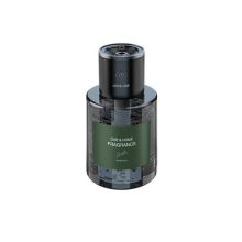 دستگاه بخور ساز و خوشبو کننده گرین لاین مدل Green Lion Car And Home Fragrance